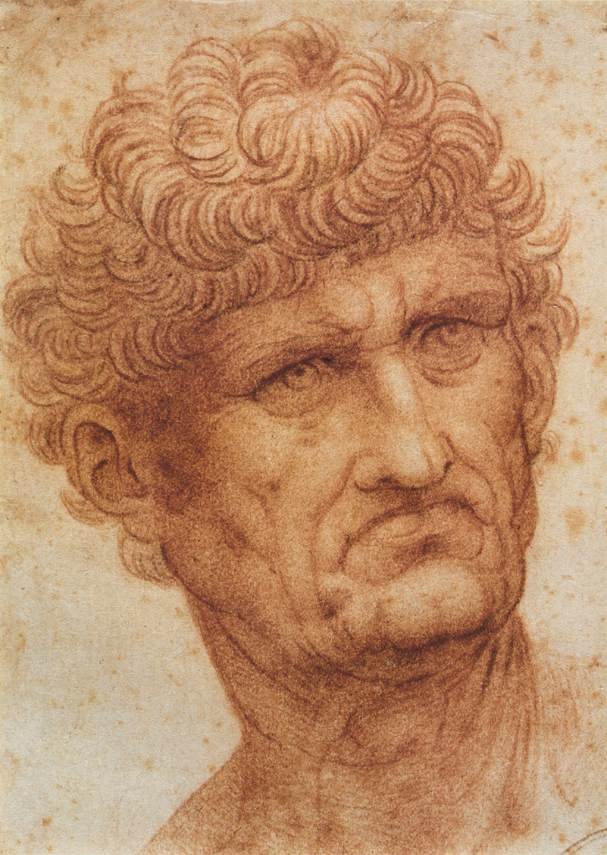 Hlava muže od Leonardo da Vinci