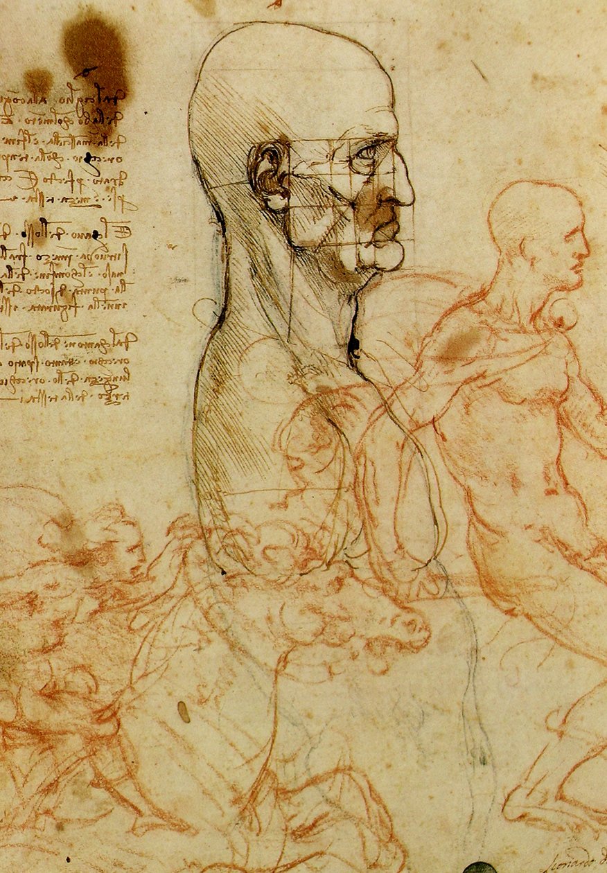 Studie mužské hlavy od Leonardo da Vinci