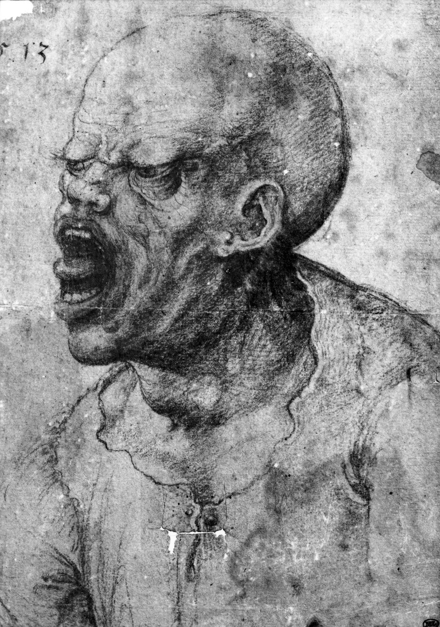 Portrét křičícího muže (uhel na papíře) od Leonardo da Vinci