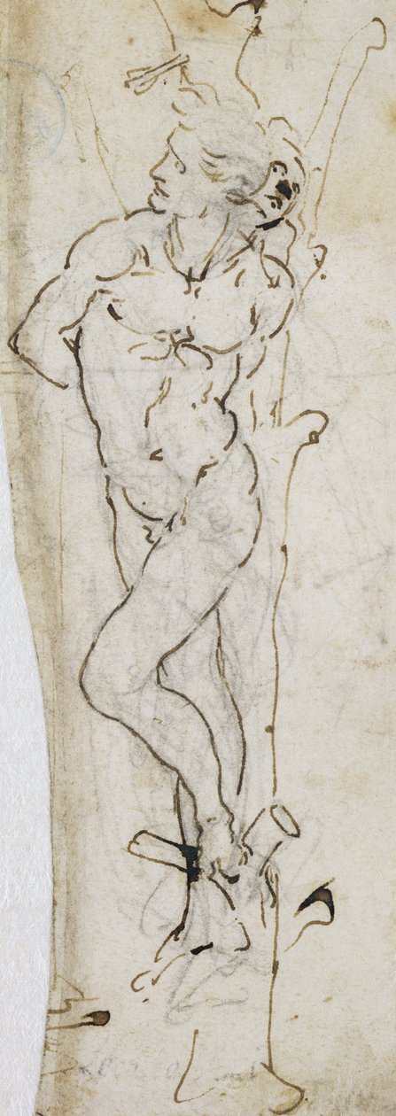 Studie sv. Šebestiána, 1480-81 (pero a inkoust přes tužku na papíře) od Leonardo da Vinci
