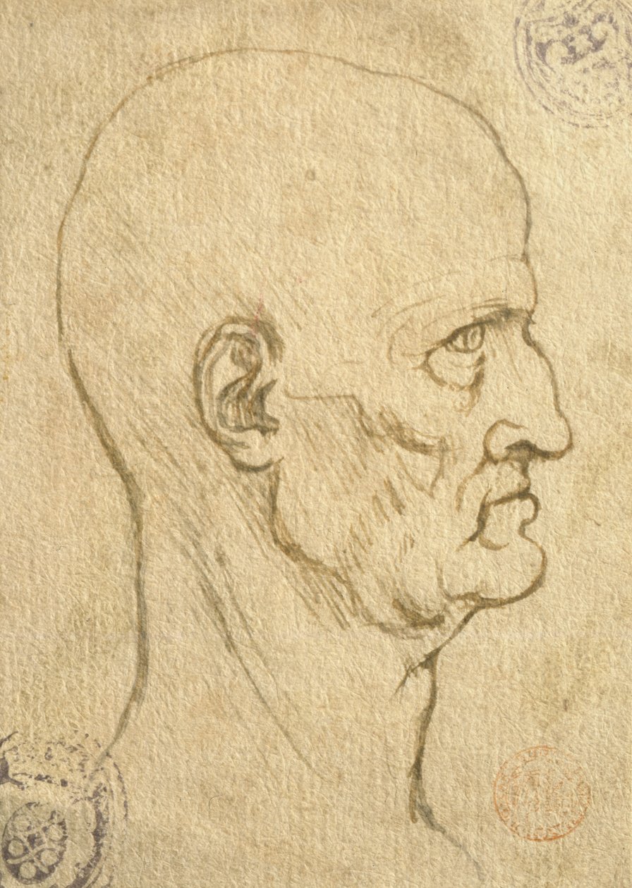 Studium lidských proporcí od Leonardo da Vinci