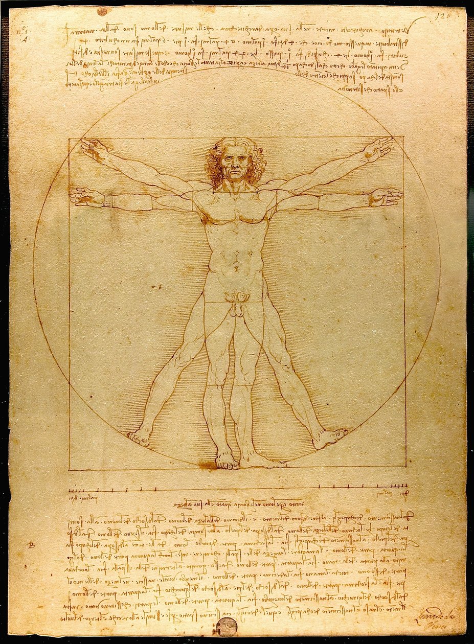 Vitruvian Luc Viatour od Leonardo da Vinci