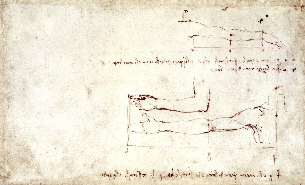 paže od Leonardo da Vinci