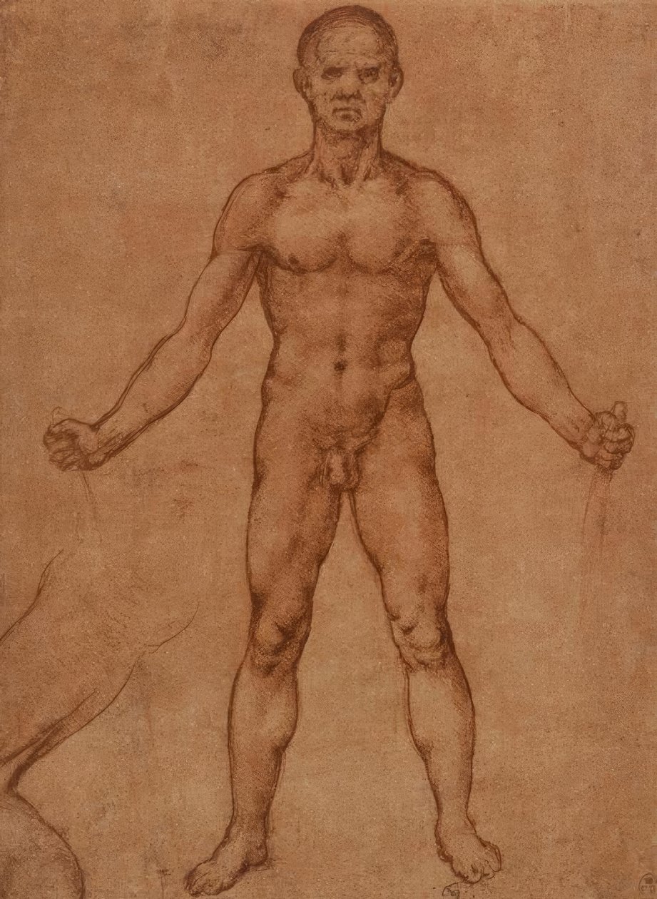 Nahé studie stojícího muže, čelní od Leonardo da Vinci
