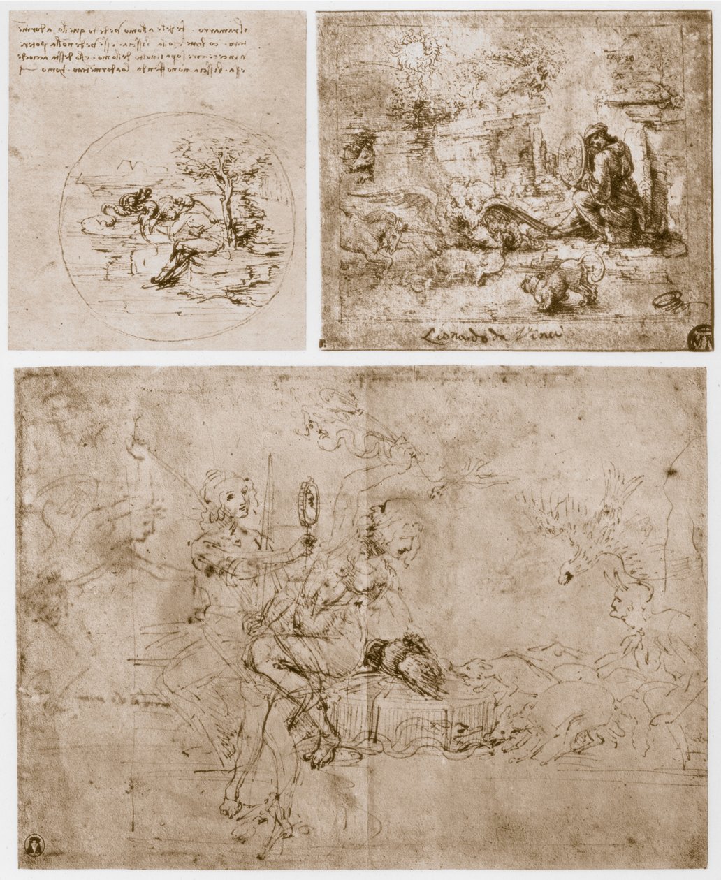 Alegorie, 15. století. od Leonardo da Vinci