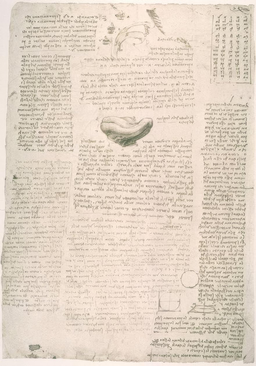 Anatomiestudien od Leonardo da Vinci