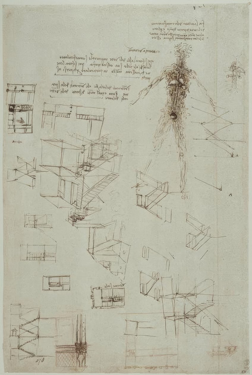Anatomiestudien od Leonardo da Vinci