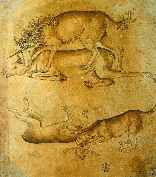 Zvířata (pero, inkoust a mytí na papíře) od Leonardo da Vinci