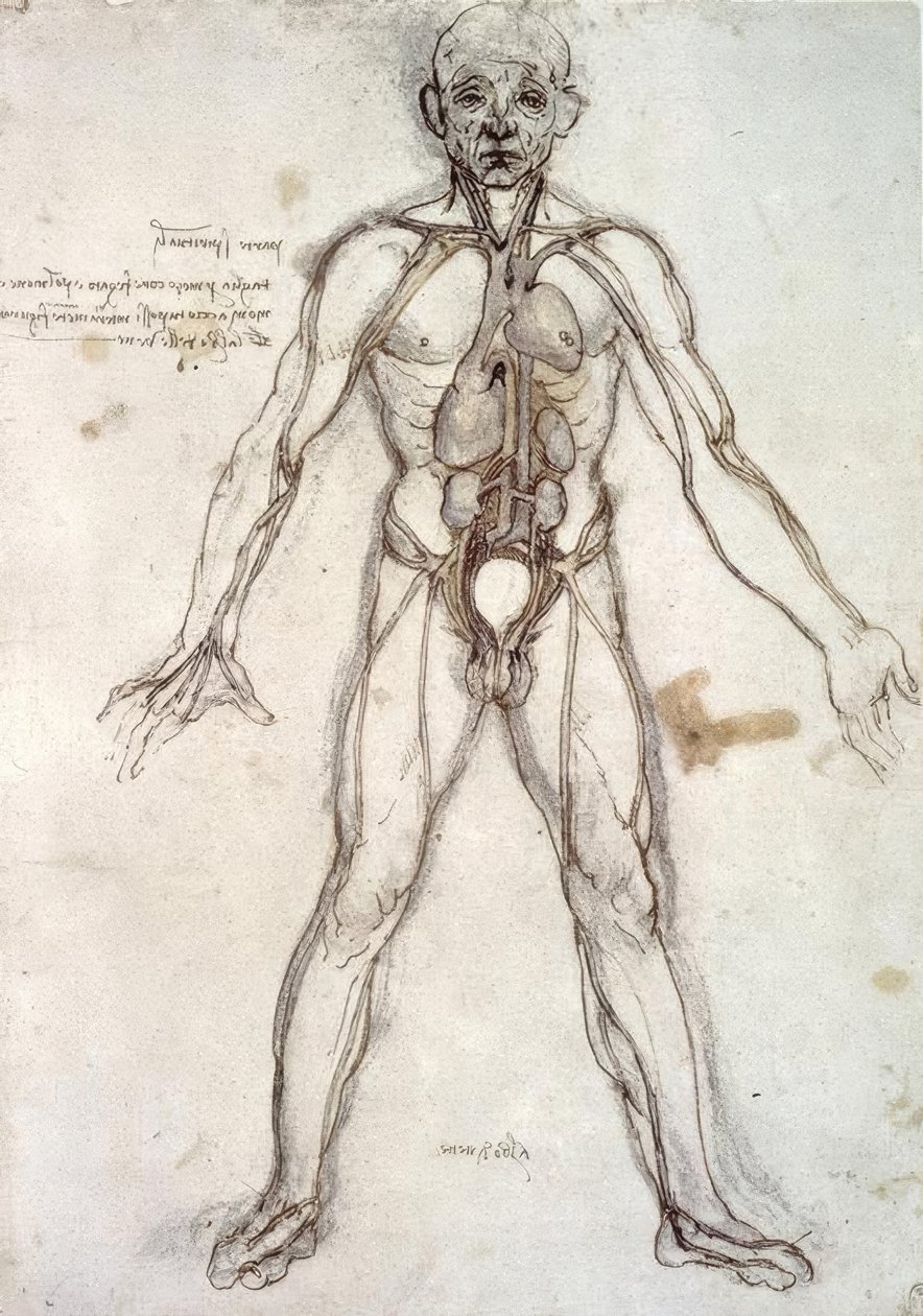 Strom plavidel od Leonardo da Vinci