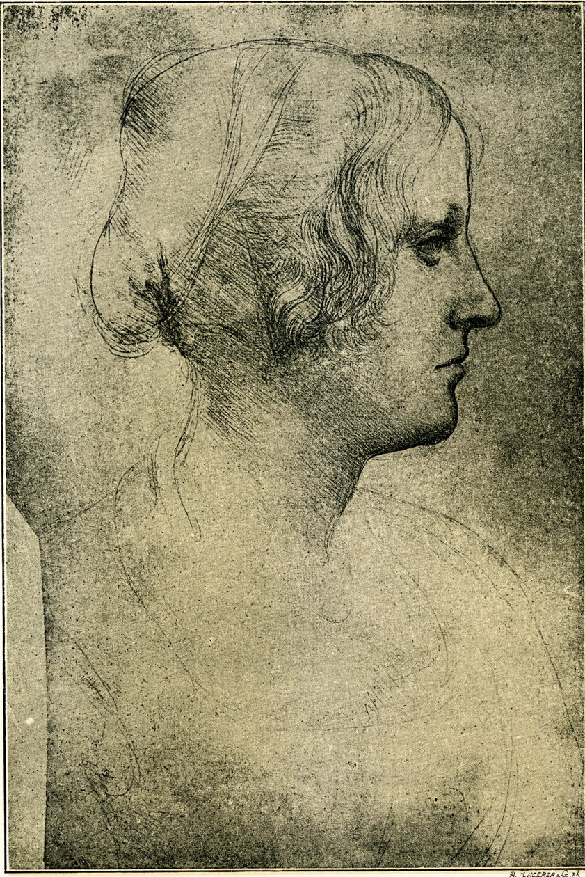 Hlava ženského profilu od Leonardo da Vinci