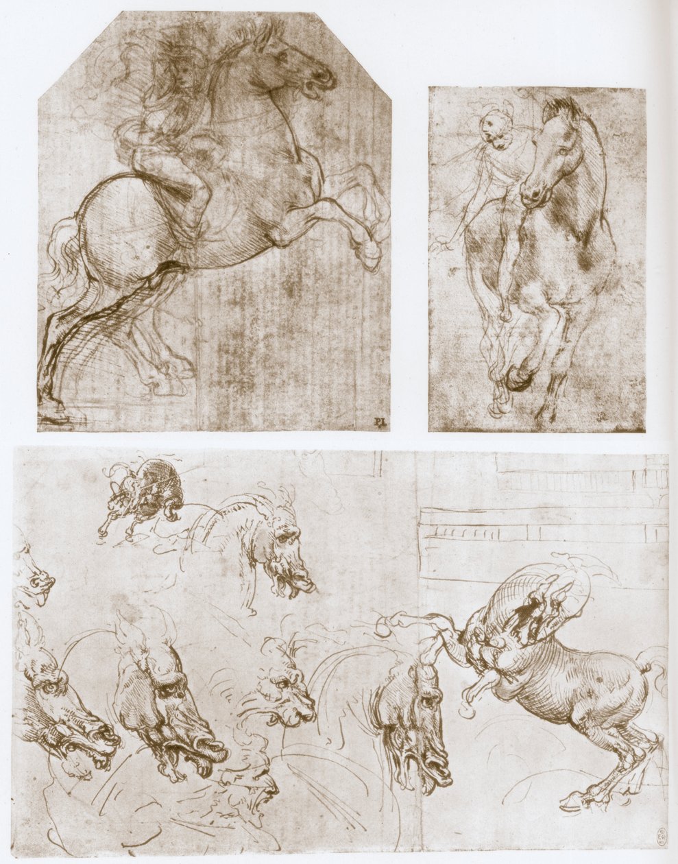 Jezdec, 1480-1481. od Leonardo da Vinci
