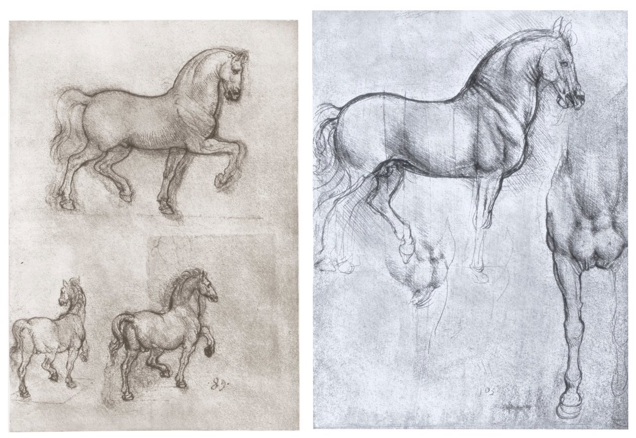 Koně, c1490-1510 od Leonardo da Vinci