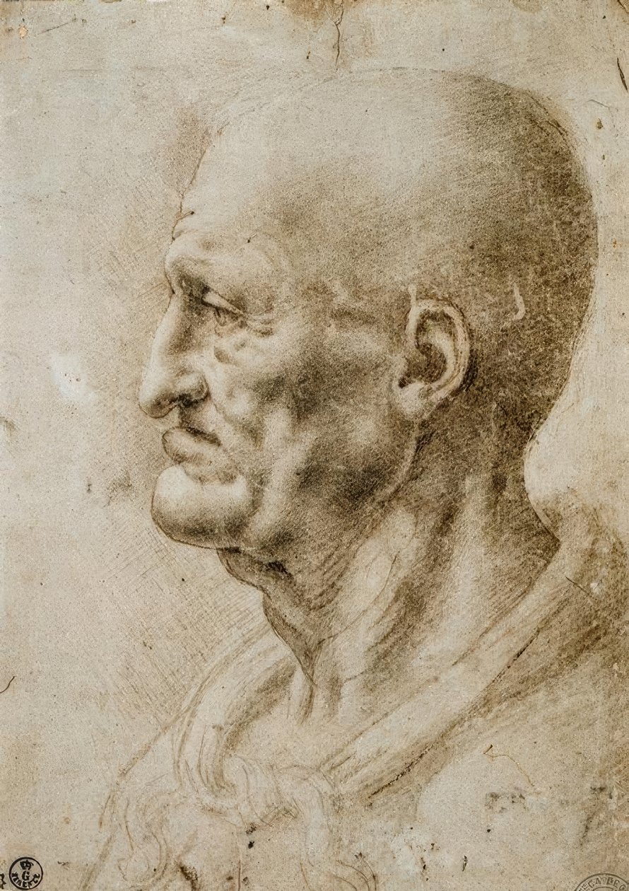 Studie hlavy starého muže od Leonardo da Vinci