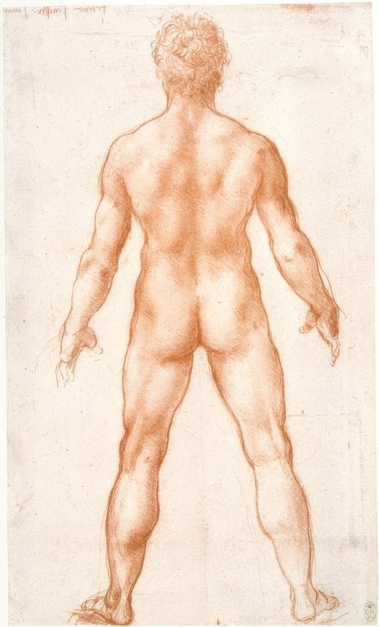 Mužský akt zezadu od Leonardo da Vinci