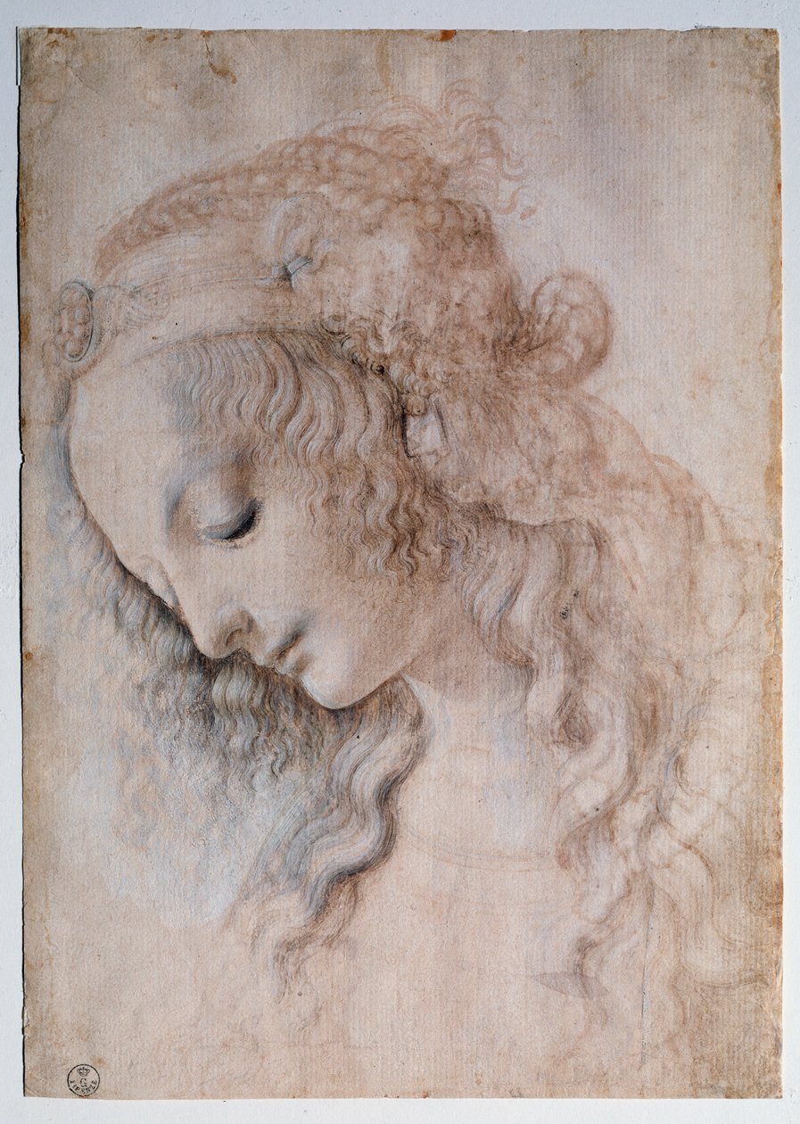 Portrét dívky - kresba od Leonardo da Vinci