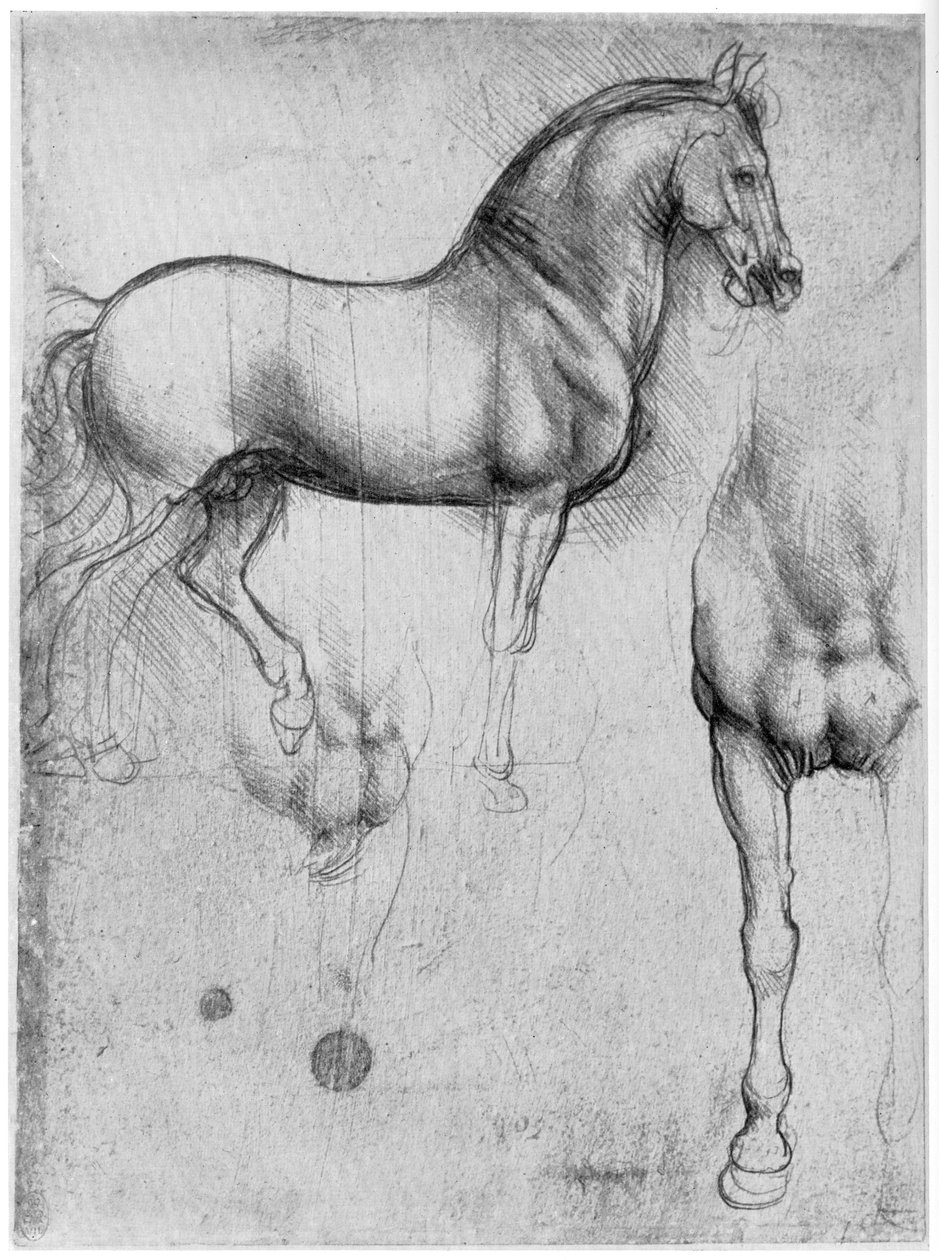 Studie koní, c1490 1954 od Leonardo da Vinci