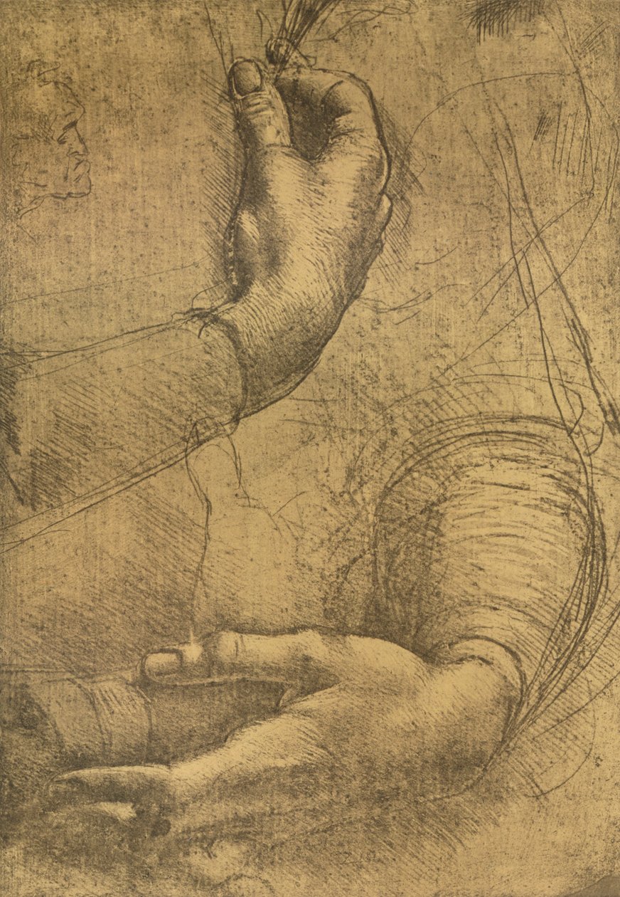 Studie ženských rukou, c1472-c1519 1883 od Leonardo da Vinci