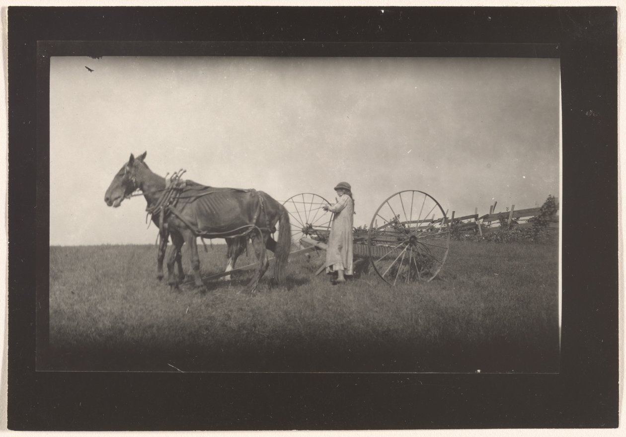 [Farm Scene, Massachusetts] od Lewis W. Hine
