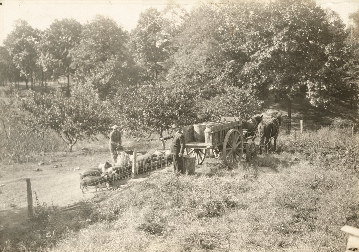 Bez názvu, ca. 1935. od Lewis Wickes Hine