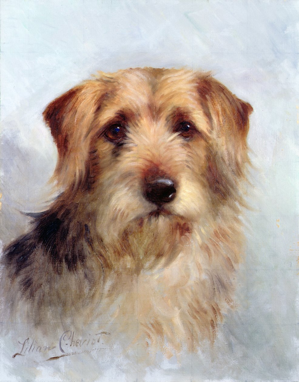Jeden z rodiny od Lilian Cheviot