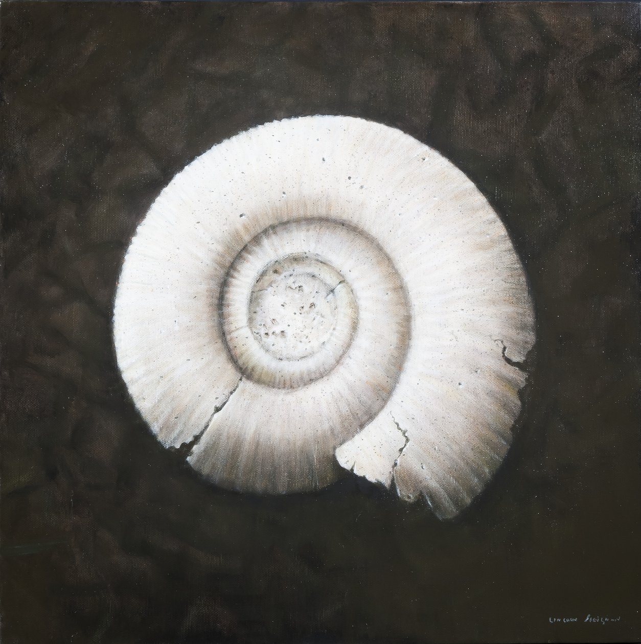 Amononit, 2012 (akryl na plátně) od Lincoln Seligman