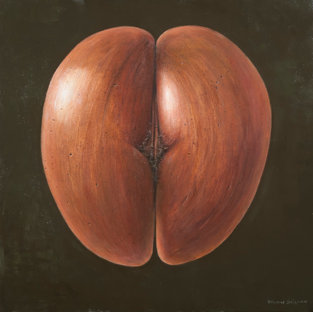 Coco de Mer, Maledivy, 2012 (akryl na plátně) od Lincoln Seligman