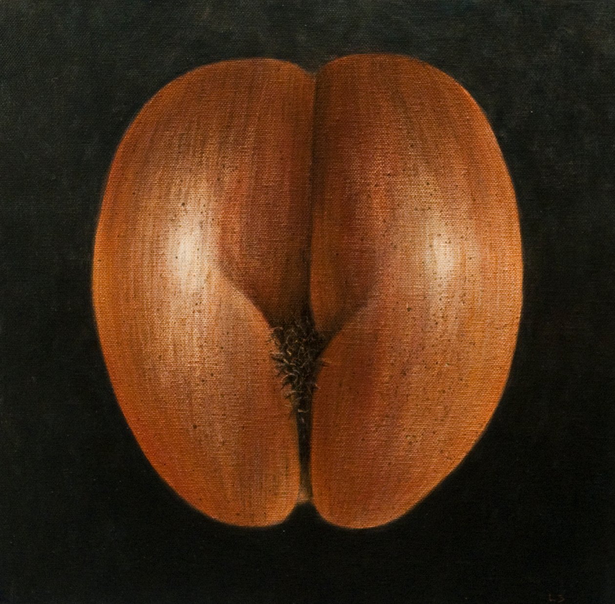 Coco de Mer, 2010 (akryl na plátně) od Lincoln Seligman
