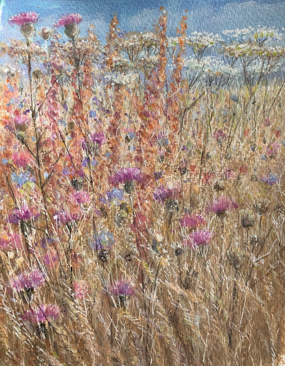 Scabious a Docks od Lincoln Seligman