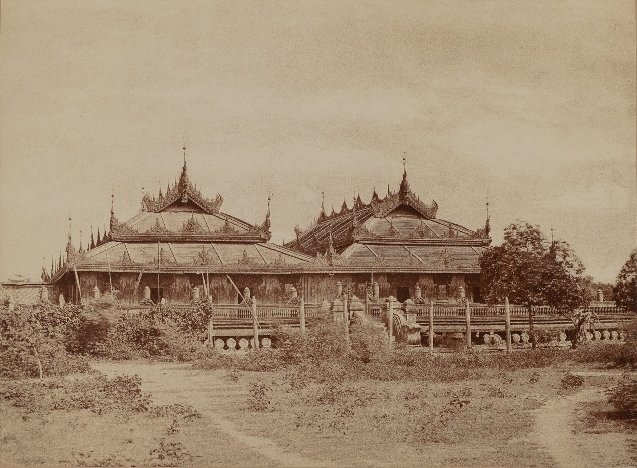 Amerapoora: Pyee road Kyoung od Linnaeus Tripe