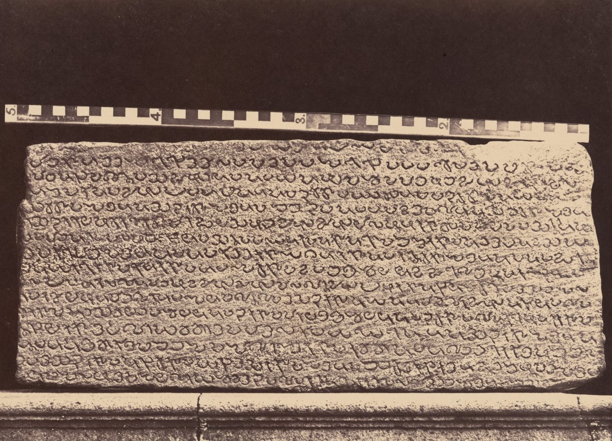 Elliotovy mramory, 1859 (foto) od Linnaeus Tripe