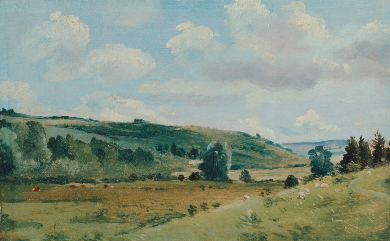 Krajina od Lionel Constable