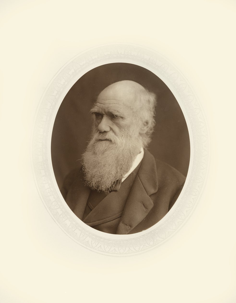 Charles Robert Darwin od Lock and Whitfield