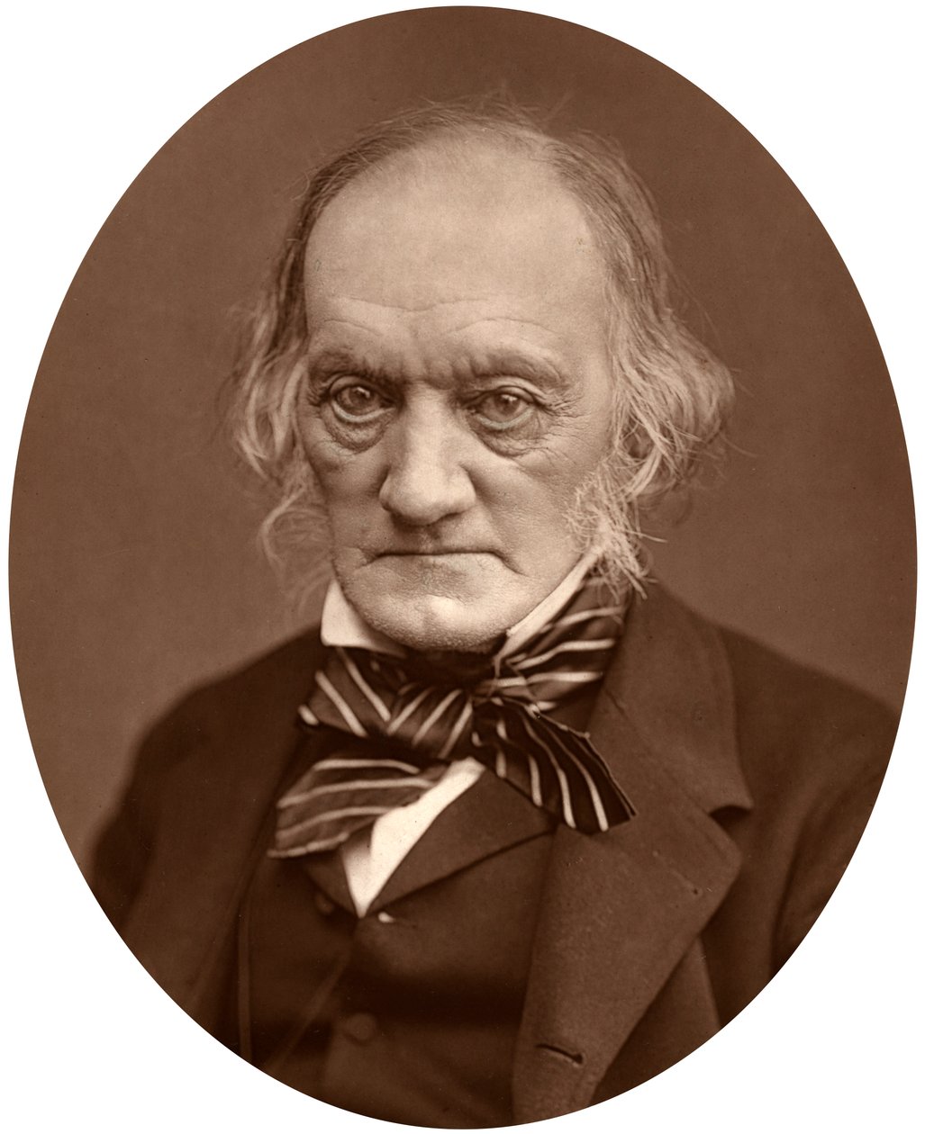 Richard Owen, 1878. od Lock and Whitfield