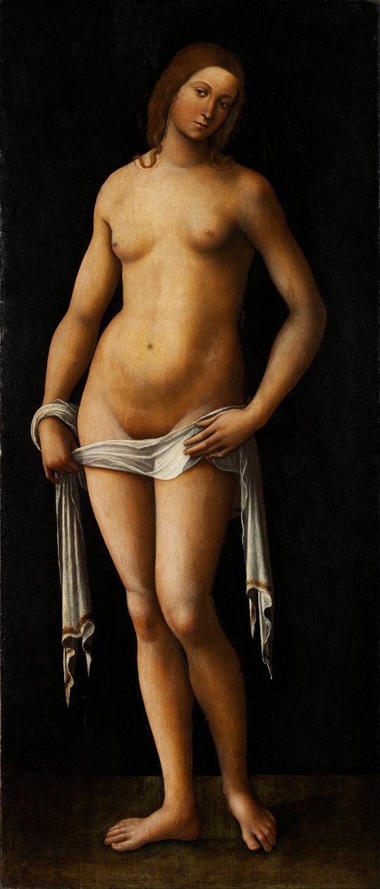 Venuše od Lorenzo Costa