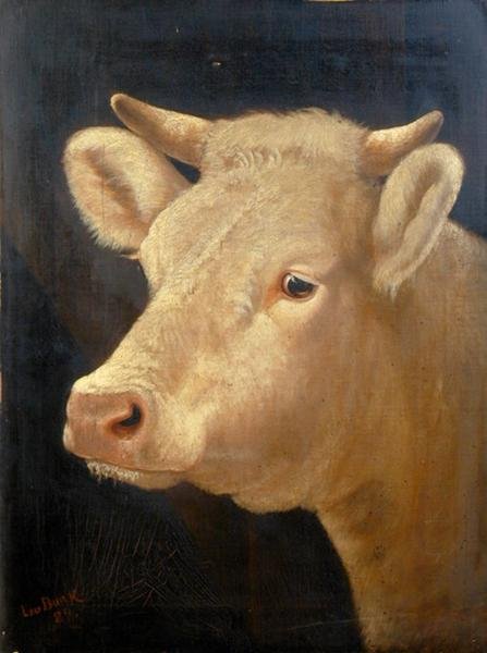 Hlava krávy od Lou Burk