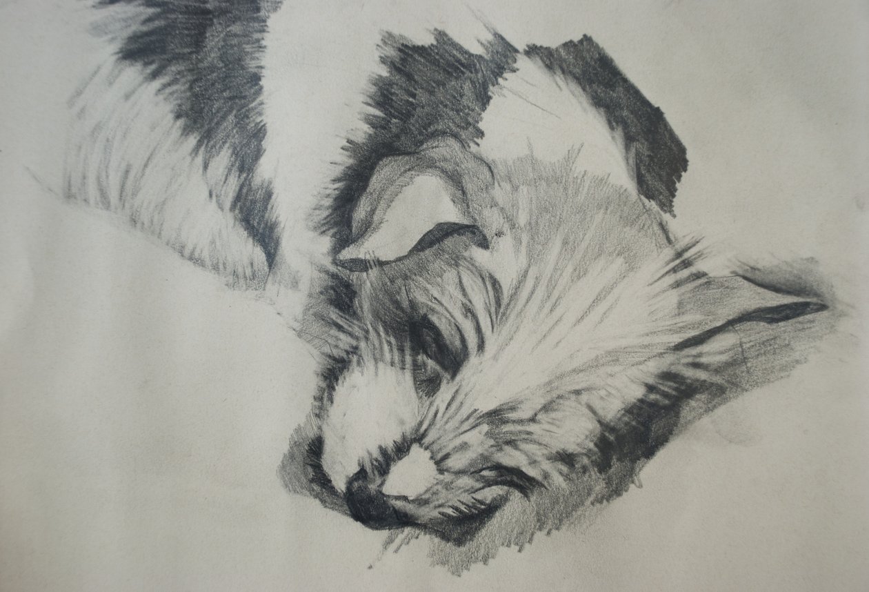 Jack Russel, 2015, od Lou Gibbs