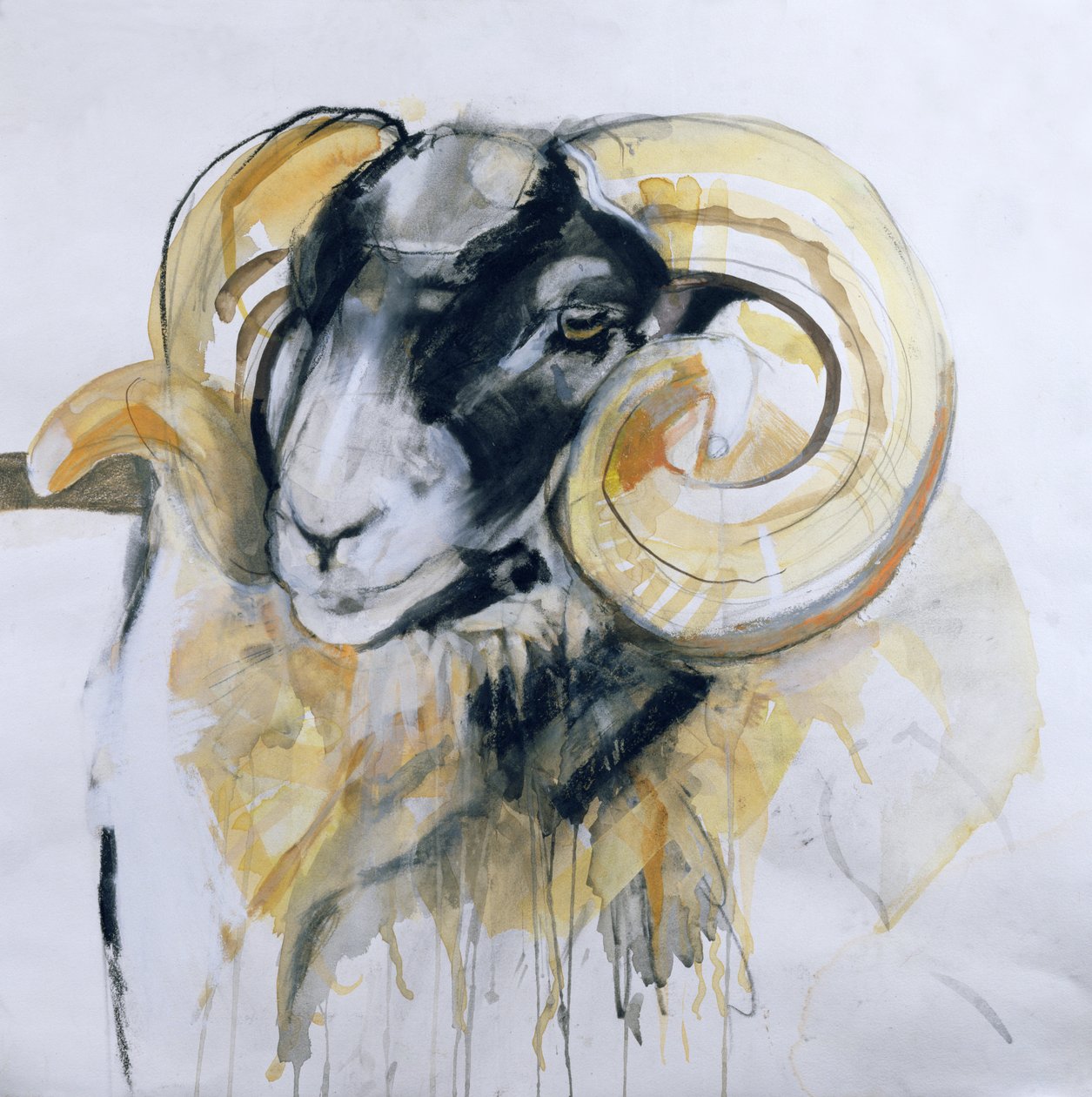 Long Horn Sheep (smíšená média) od Lou Gibbs