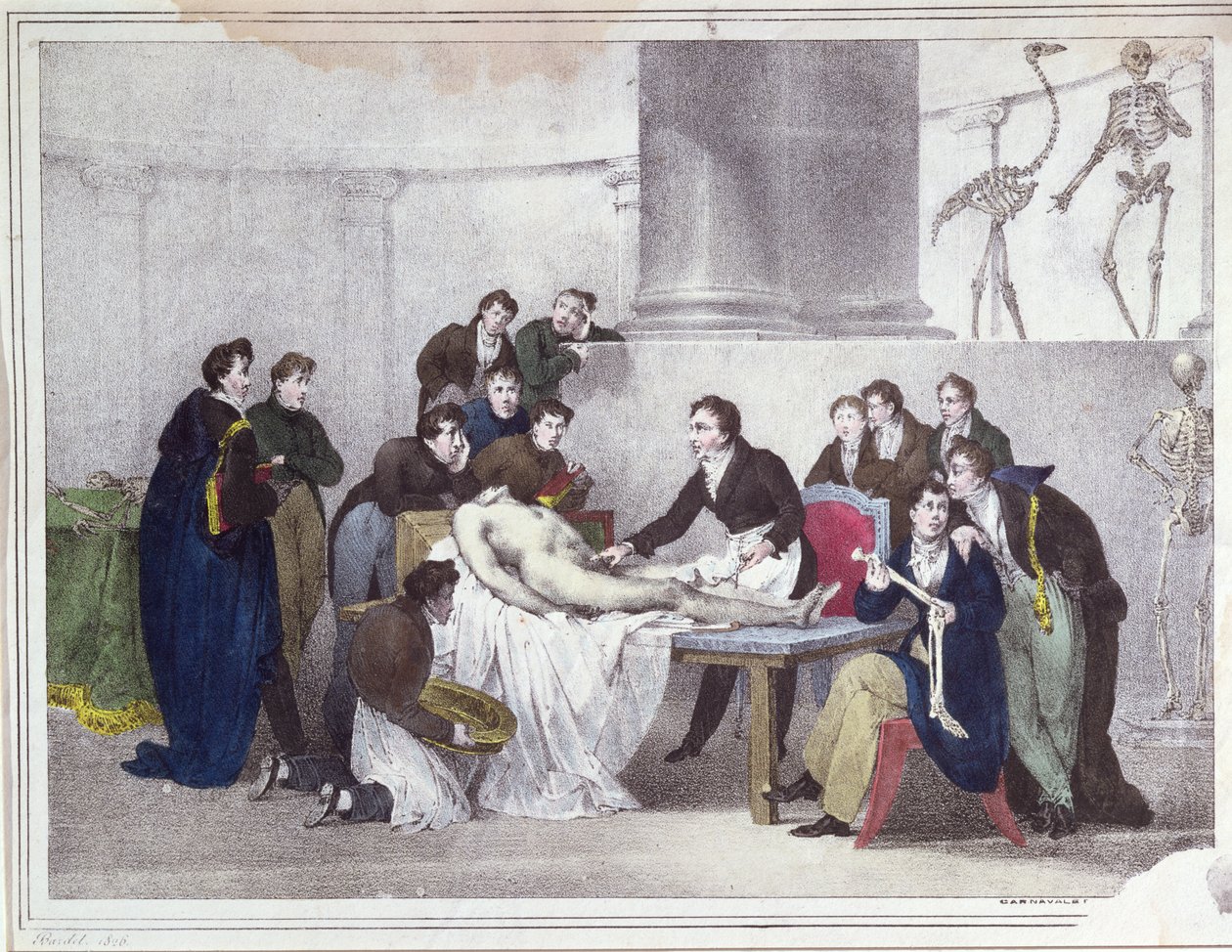 Lekce anatomie, 1826 od Louis Thomas Bardel
