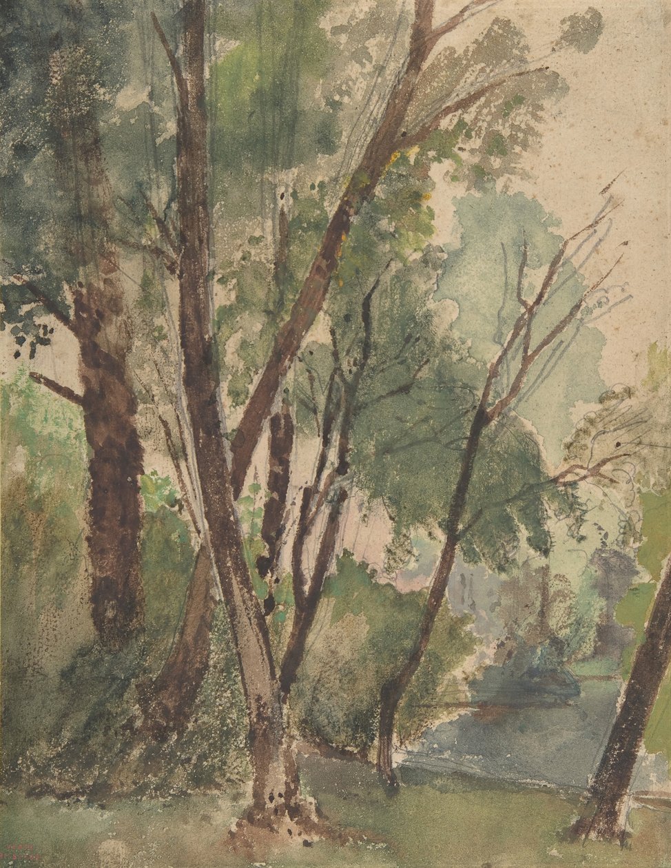Stromy u rybníka, 1853-1878. od Louis Antoine Leon Riesener