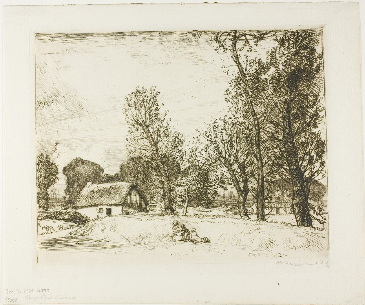 Topoly Pollard od Louis Auguste Lepère
