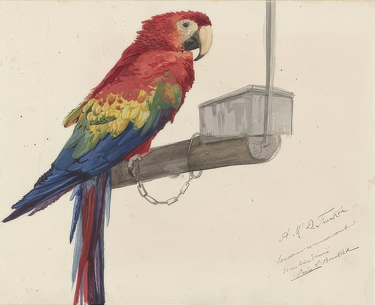 Papagei. 1879 od Louis Charles Bombled