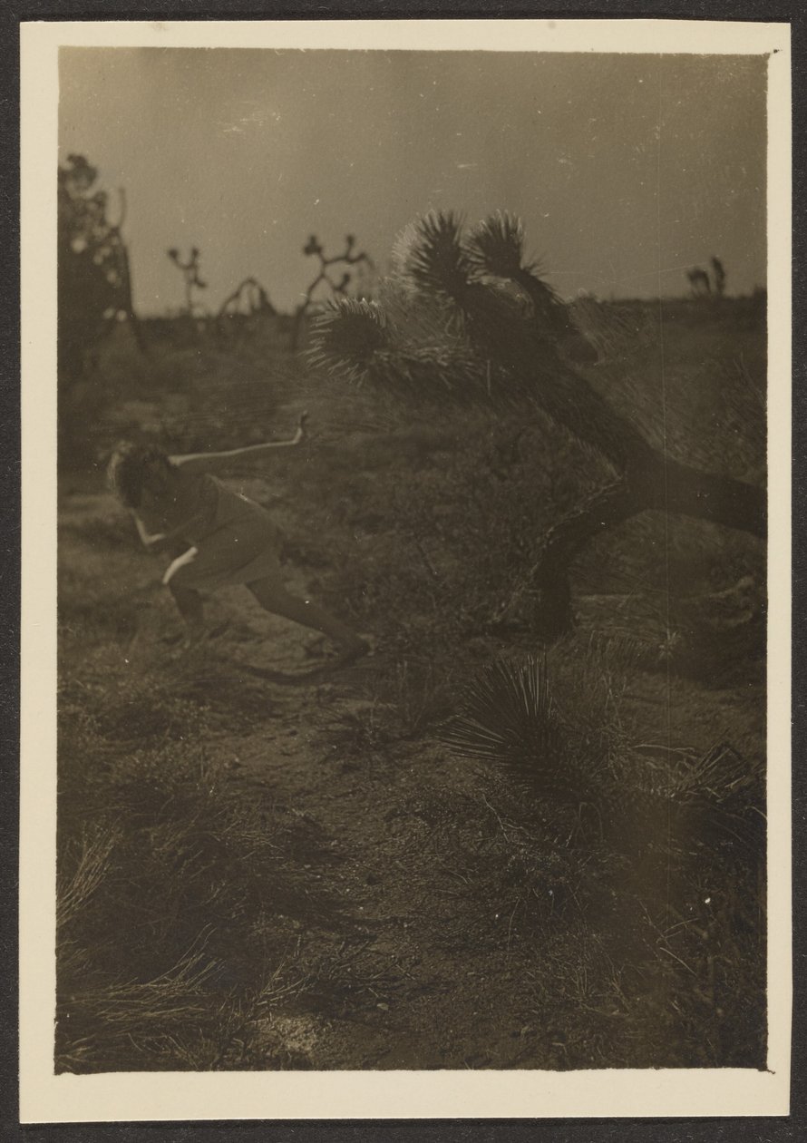 [Bogey Man of the Desert] od Louis Fleckenstein