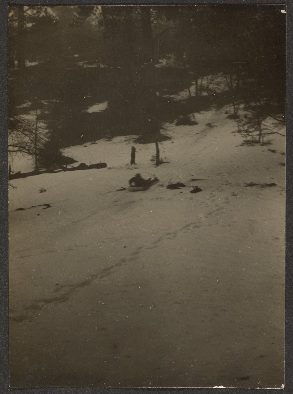 [Dítě sjíždí na saních z kopce] od Louis Fleckenstein