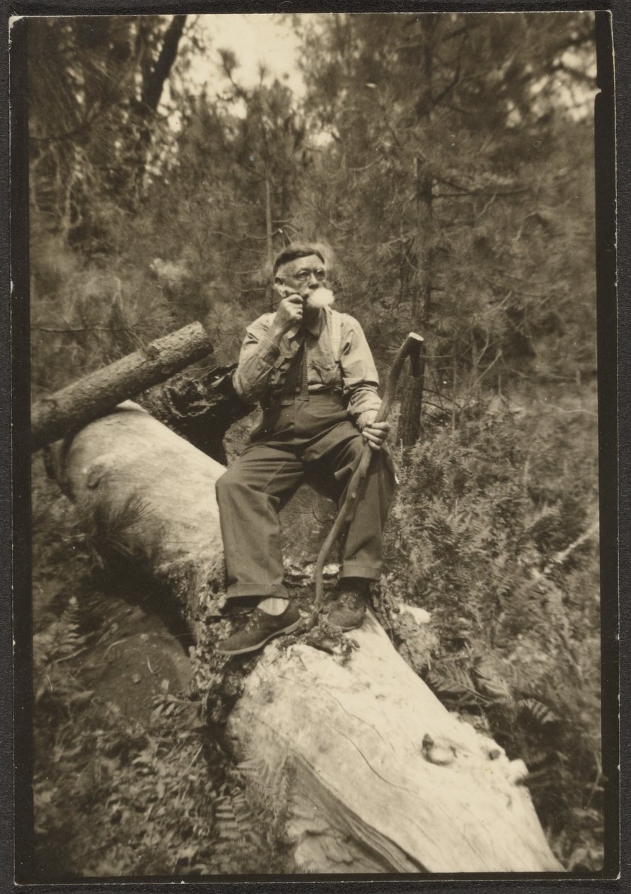 [Fleckenstein on a Log] od Louis Fleckenstein
