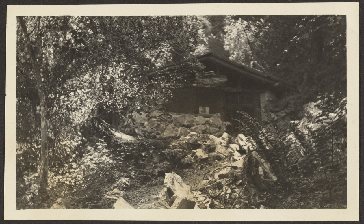 [Forest Lodge] od Louis Fleckenstein