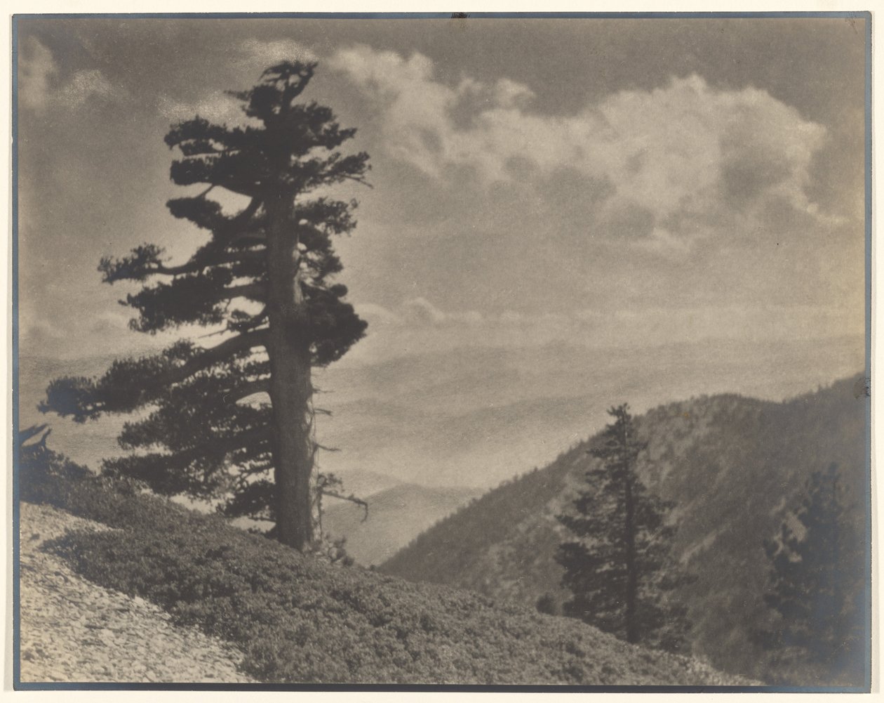 [Na hřebeni k Old Baldy] od Louis Fleckenstein