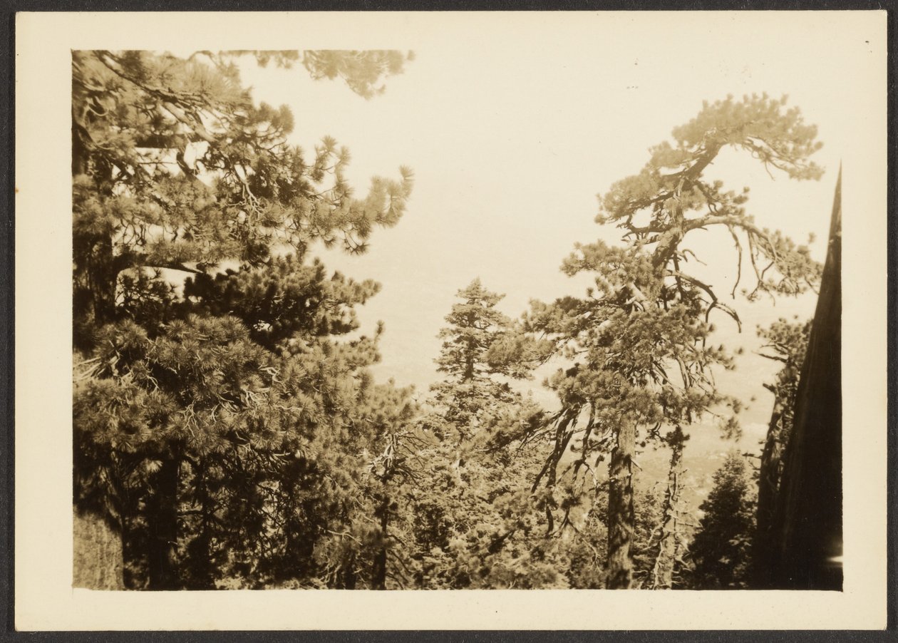 [Santa Rosa Peak] od Louis Fleckenstein