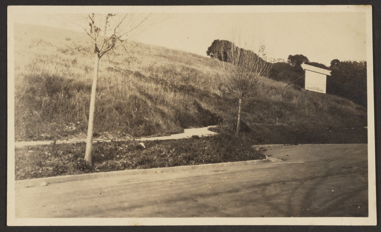 Thousand Oaks od Louis Fleckenstein