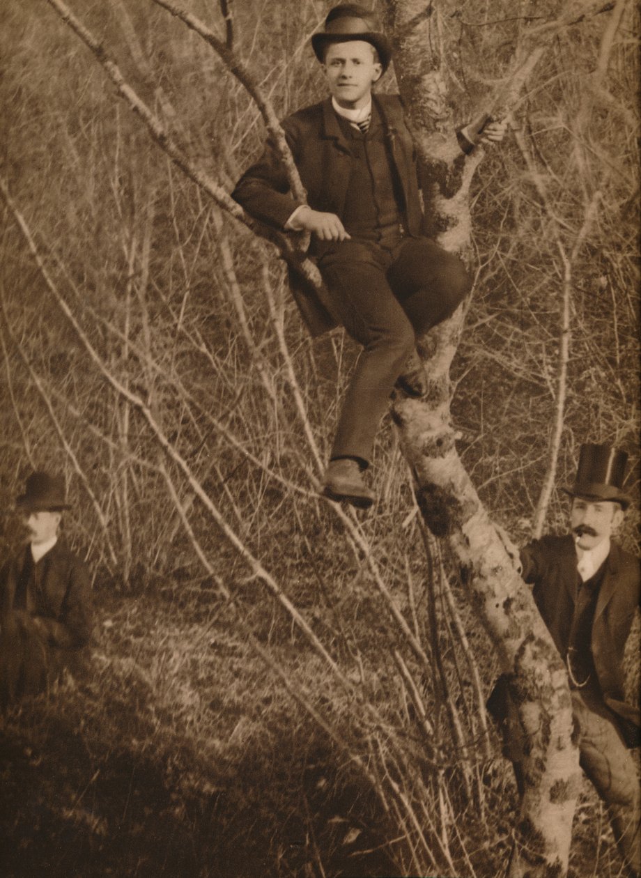Muž seděl na stromě, 1937 od Louis Guichard