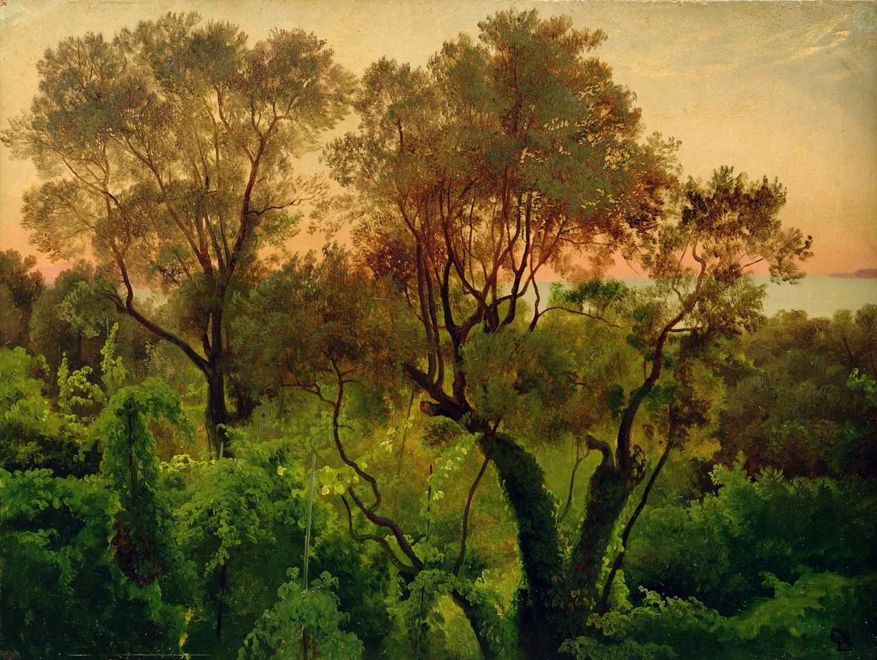 Svah s olivovníky od Louis Gurlitt
